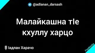 Малайкашна тӏе кхуллу харцо / ӏадлан