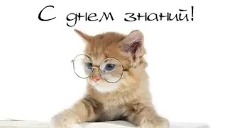 – Пов: Линейка @wuiix @rxxfg0