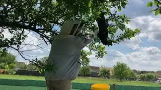 Ещё один день в чешской деревне.