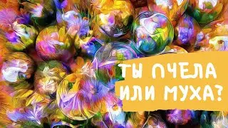 КАКУЮ РЕАЛЬНОСТЬ ТЫ ВИДИШЬ? МЫ ЖИВЕМ В ОДНОМ МИРЕ, НО ВИДИМ ЕГО ПО РАЗНОМУ