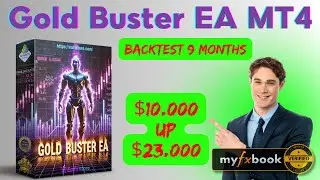 Gold Buster EA MT4 Backtest 2024 | FX STORE EA