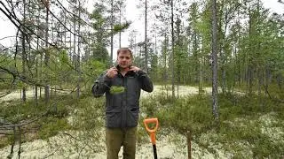 Что взять с собой на полевую практику и какие факторы почвообразования описывать в поле