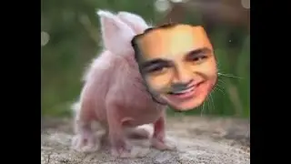 Balding Boy ( Official Diss Track )