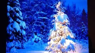 Christmas Songs - Last Christmas PARODY