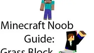 Minecraft Noob Guide: Grass Block