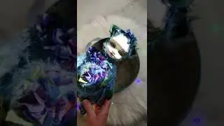 Кошечка Гортензия