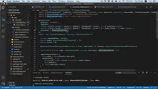S2E3 viewProviders explained