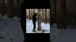 Winter forest | Bird feeders | Wooden cabin #bushcraftimprovisation