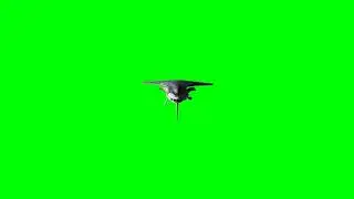 GREEN SCREEN SPACE SHUTTLE 2