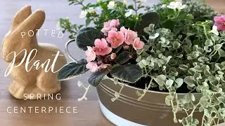 Potted Flower Spring Centerpiece