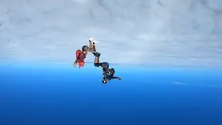 FreeFly HeadUp 2VFS