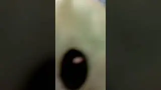 подождём улетел Я выхожу