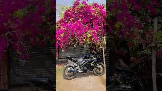 R15 v3 monster edition modified