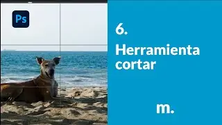 6. Herramienta cortar | Adobe Photoshop