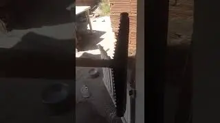 17 de março de 2023