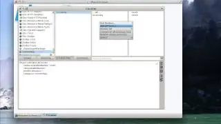 ST 4U 536: Basic Pharo Usage