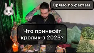Таро прогноз на 2023 год : У самурая нет цели, только путь