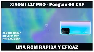 Xiaomi 11T Pro - Penguin OS ! SUPER ROM CAF ! MAXIMA FLUIDEZ Y CON TODO LO NECESARIO ! LEICA CAM