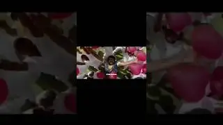 orey😂😂🤣🤣 || Small Edit || 