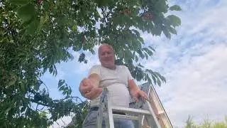 Ну её эту работу,  весь день в походе.