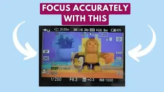 What is Focus Mapping and How to Use It on Sony Cameras