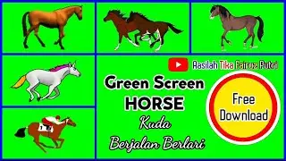 Green Screen Horse Free Effect ( Running Walking ) | 
