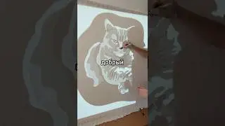 Стоило ли это того?🤔 