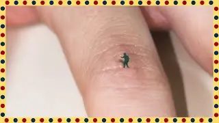 To the even smaller 1mm world! | GIANTESS FAMILY