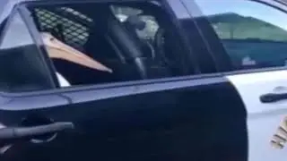 Shitpost Status