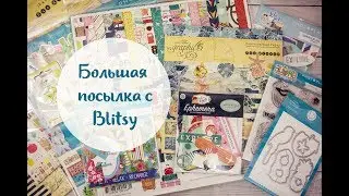 Большая посылка с Blitsy