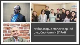 ТАТАРСКИЙ: «Транскрипционная устойчивость: как опухоли спасаются от химиотерапии без мутаций»