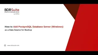How to Add PostgreSQL Database Server (Windows) as a Data Source for Backup | BDRSuite
