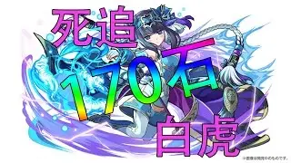 【PAD】2pack石追白虎！！無虎不罷休！ 【特別抽蛋活動：Best 15 Sub】