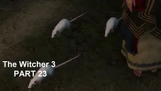 The Witcher 3 Next Gen Part 23 Blind Playthrough