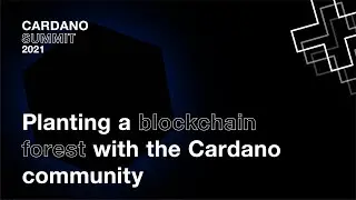 Veritree's global land restorations now powered by the Cardano blockchain