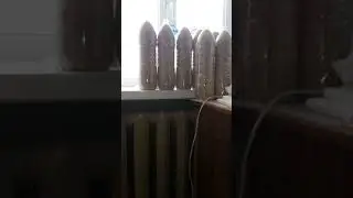 Что делать? 1. Поступай по совести, каковы бы ни были обстоятельства