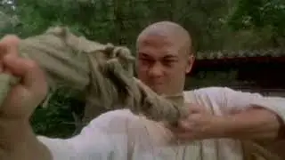 Twin WarriorsДва воина