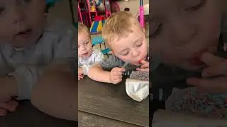 The two bite rule in force 