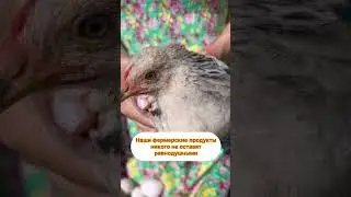 Наши фермерские продукты никого не оставят равнодушными