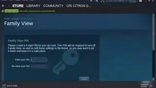 How To Enable Steam Family View?