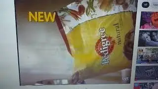 Pedigree 2006 Ad