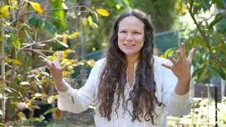 Maesa Pullman Introduces the Band of Singers—Community Choir Based in Biophilia