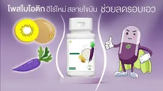 โพสไบโอติก ตัวเลือกใหม่ในการใส่ใจตัวเอง! ช่วยลดไขมันช่องท้อง