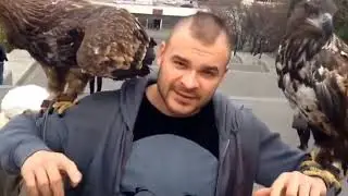 Тесак статус