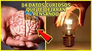 14 DATOS CURIOSOS QUE TE DEJARAN PENSANDO