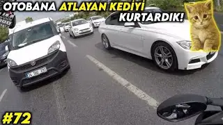 OTOBANA ATLAYAN YAVRU KEDİYİ SONUNDA KURTARDIK !!! Motovlog72