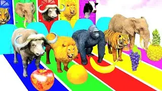 Animal Raceing Gorilla Tiger Animals games 3d animals