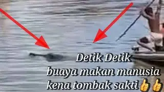 Detik detik buaya makan manusia kena tombak sakti 👍👍