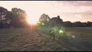 Mercer 'Wendy's Story'