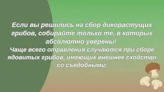 11 сентября 2023 г.